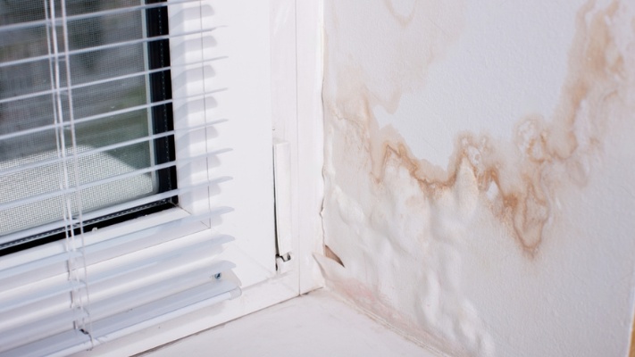 Can Penetrating Damp Cause Health Risks