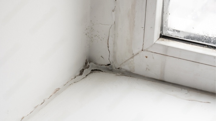 DryCore Penetrating Damp Treatment & Services
