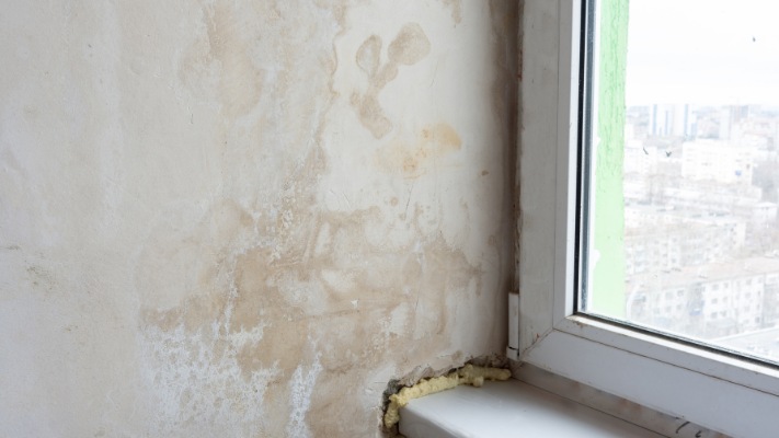 How To Treat Penetrating Damp