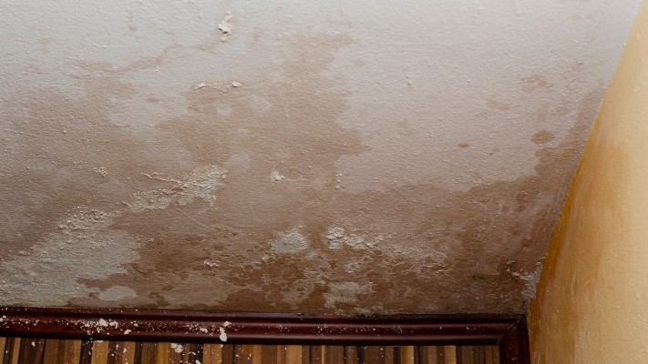 What are the Causes of Penetrating Damp