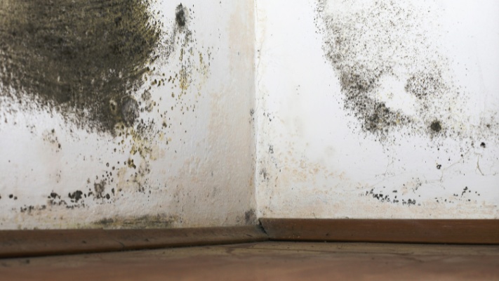 What is Damp Proofing