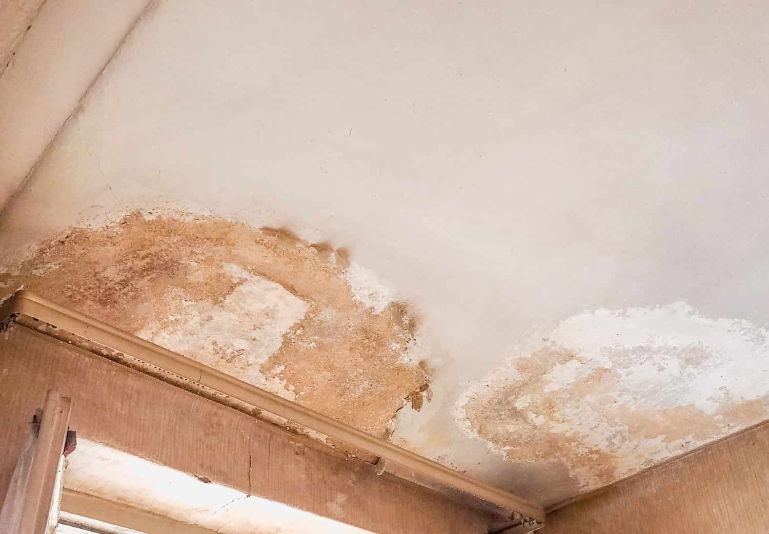 Damp Proofing in Backworth