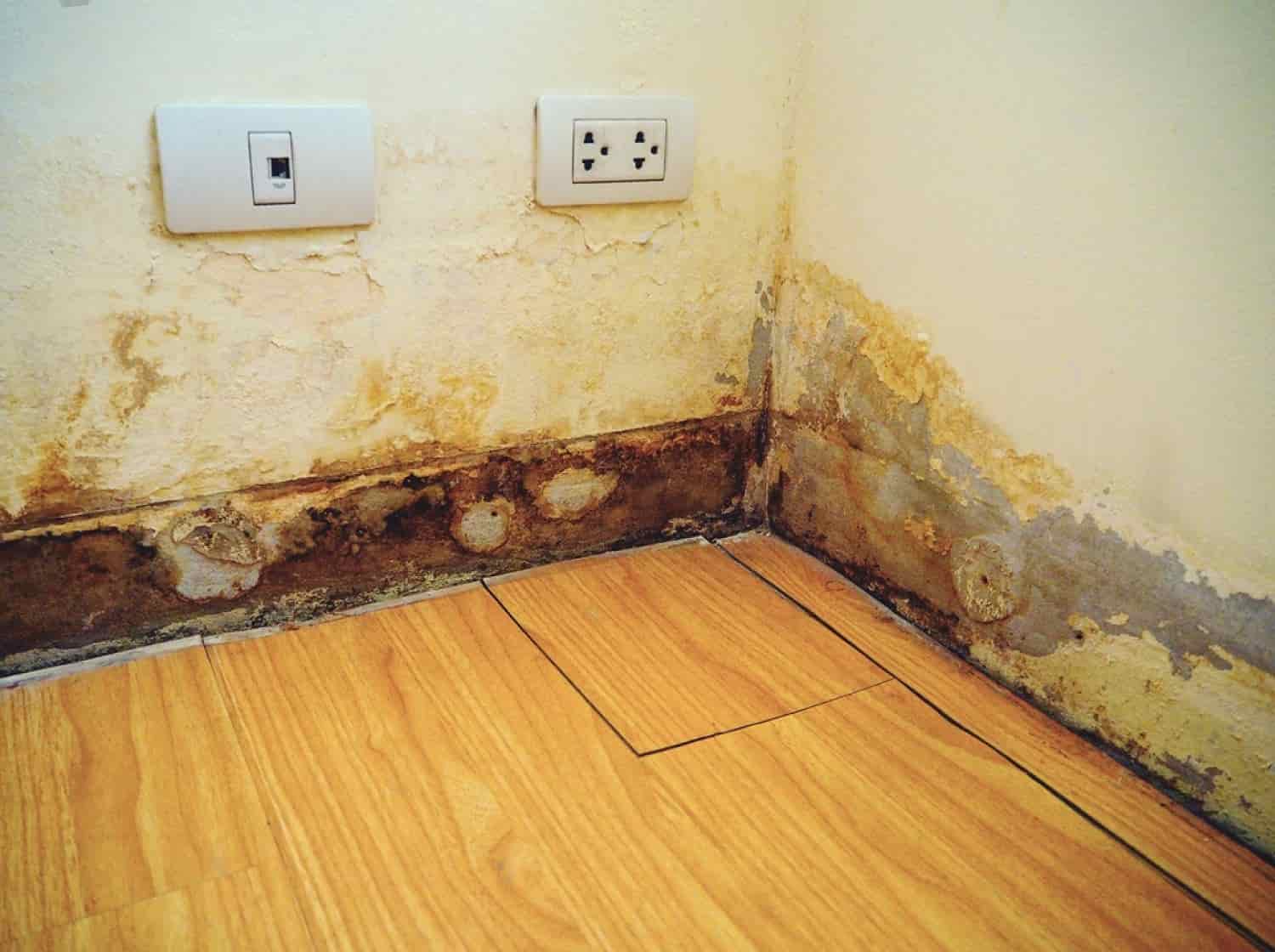 Penetrating Damp Treatment in Longbenton